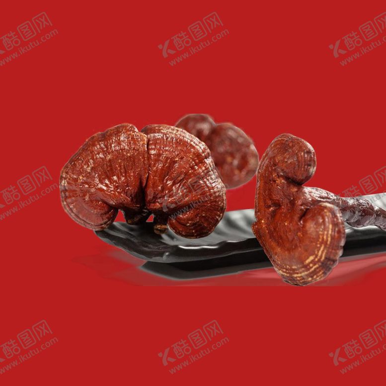 编号：18323102281928035993【酷图网】源文件下载-灵芝