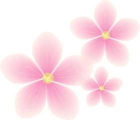 梅花桃花PNG