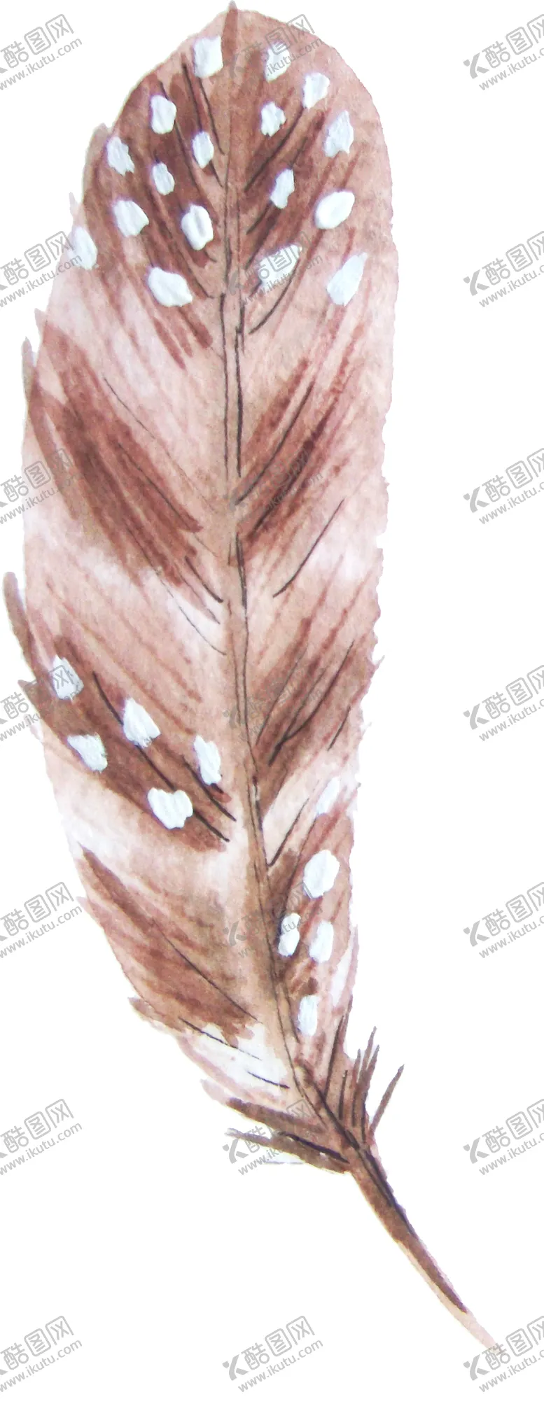 编号：76913307091840004301【酷图网】源文件下载-手绘水彩羽毛