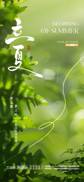 地产立夏节气海报叶子天二十四