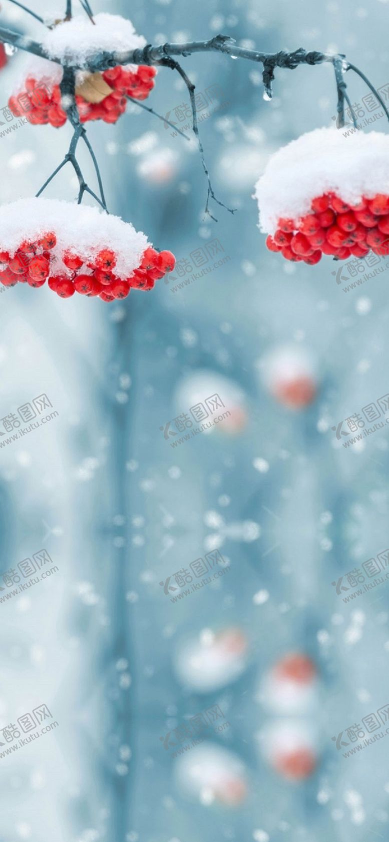 编号：36855709241229115859【酷图网】源文件下载-手机壁纸