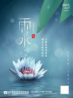 雨水节气海报