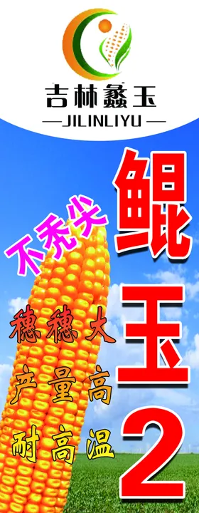玉米 农场 宣传页