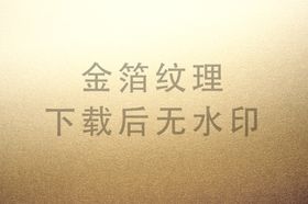 龙纹金箔方框古代纹理标题封面