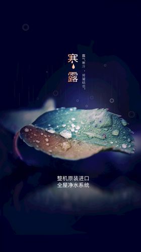 寒露节气传统活动宣传海报素材