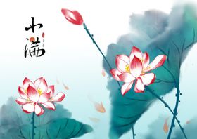 荷花小满大雪