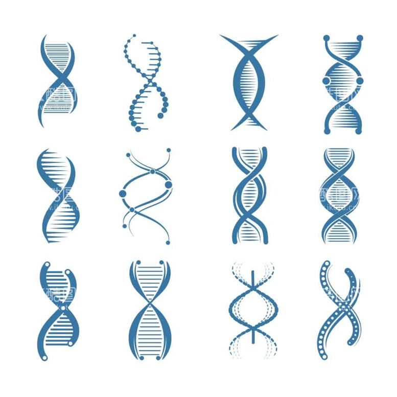 编号：89314211122301294718【酷图网】源文件下载-DNA分子