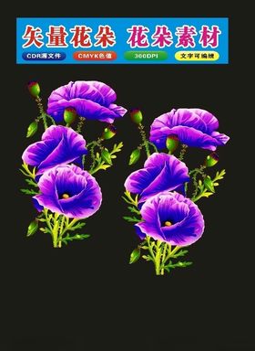 牡丹花朵