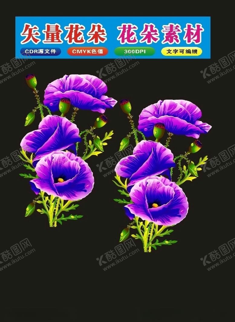 编号：67214807120958584706【酷图网】源文件下载-花卉牡丹边框花朵