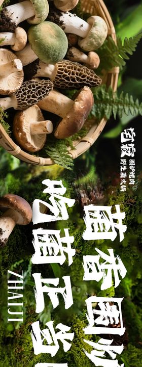 大众点评野生菌五连图设计