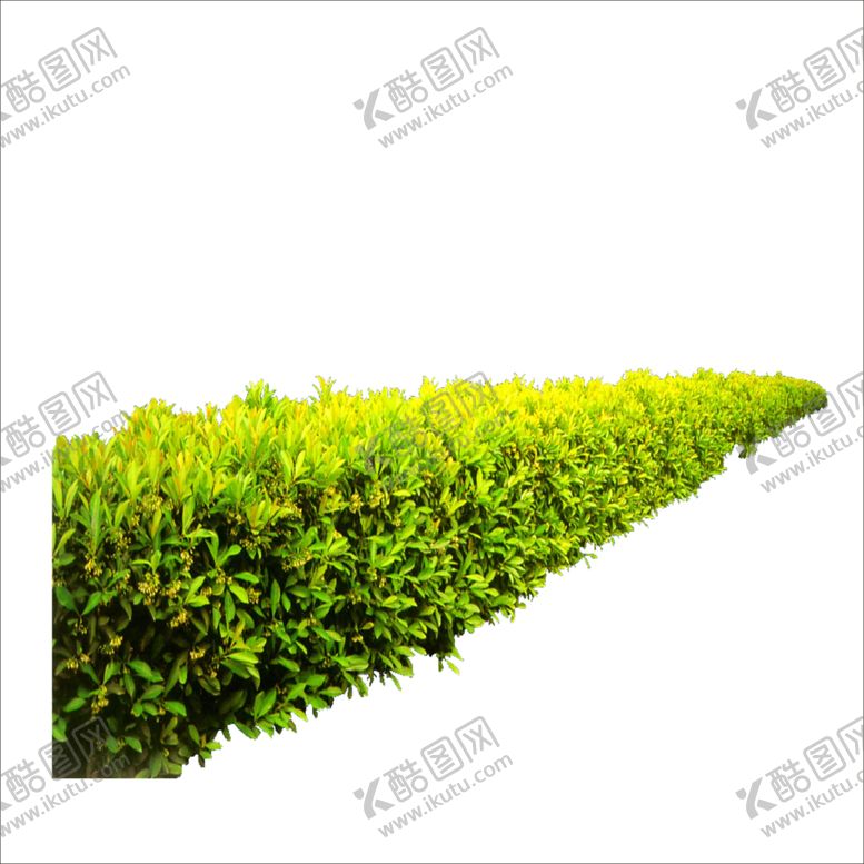 编号：78787907041901587461【酷图网】源文件下载-绿色植物