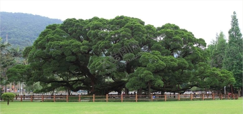 编号：36527010032356413611【酷图网】源文件下载-风景画