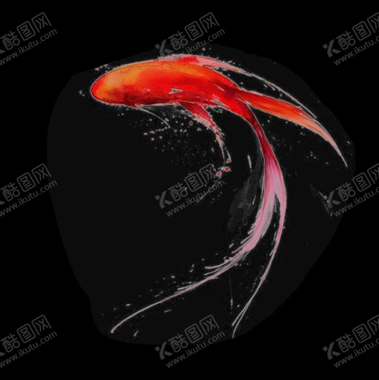 编号：69283106300921333646【酷图网】源文件下载-金鱼