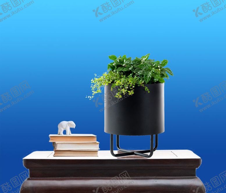 编号：53018809302130294549【酷图网】源文件下载-花艺