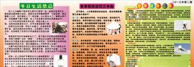 冬季健康宣传栏