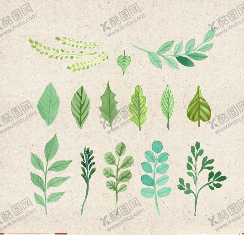 编号：61349607031442473660【酷图网】源文件下载-矢量动物矢量植物插画手绘