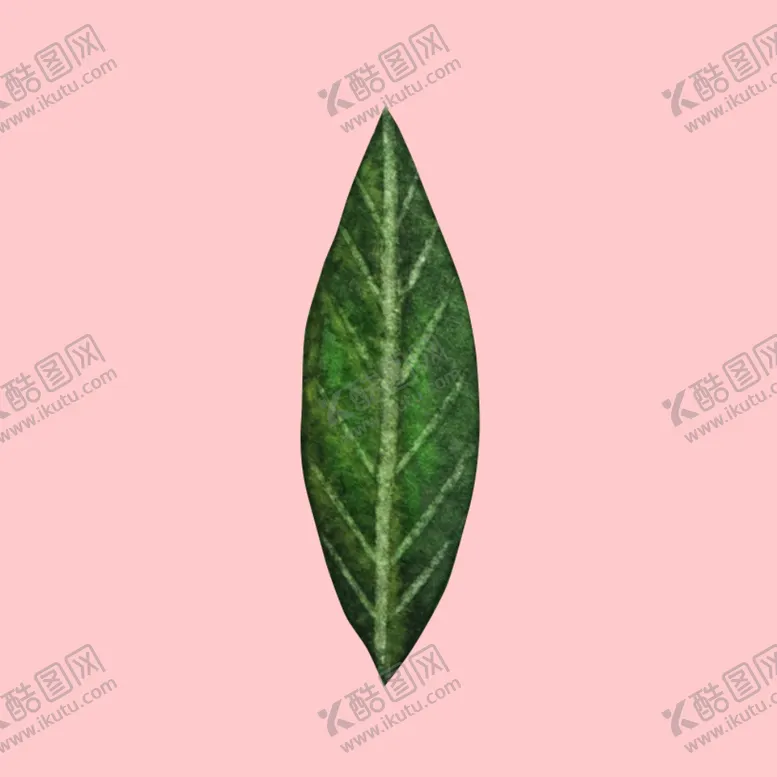 编号：33489807061738062001【酷图网】源文件下载-水彩植物