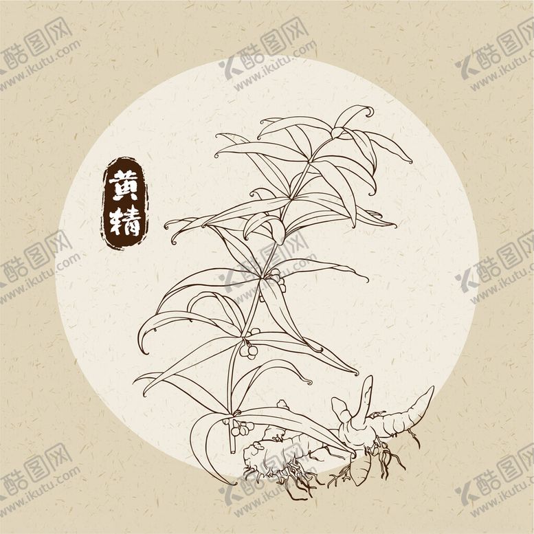 编号：80516201271122141447【酷图网】源文件下载-黄精