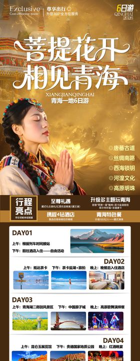 红色招商旅游营销青海政策长图海报