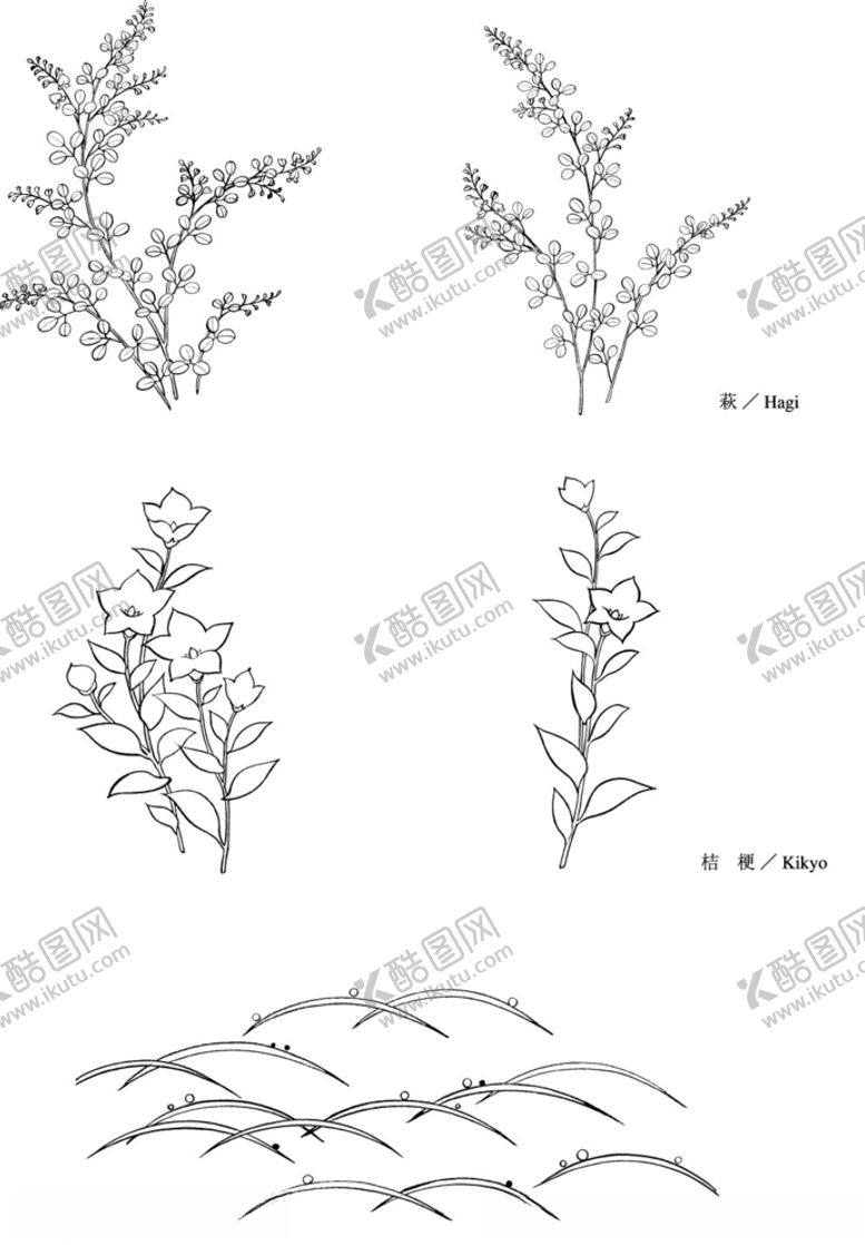 编号：57494009270618022727【酷图网】源文件下载-日本线描植物花卉矢量素材