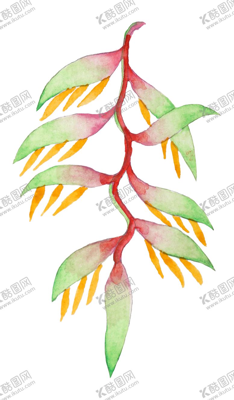 编号：66399710241702566945【酷图网】源文件下载-清新水彩植物树叶插画