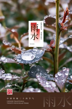 雨水海报刷屏