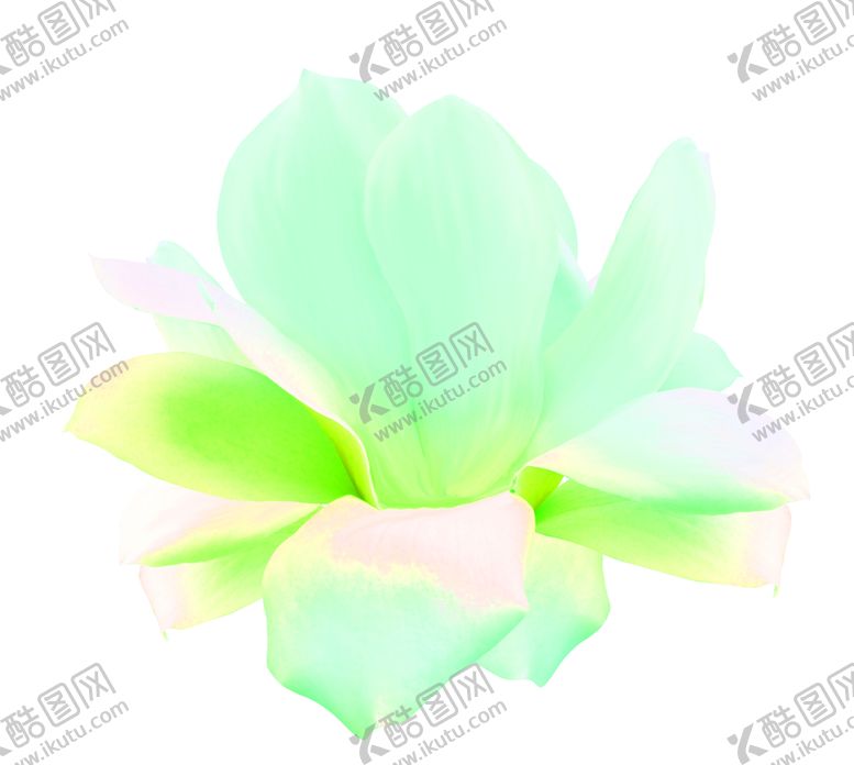 编号：36904009300038381695【酷图网】源文件下载-花素材