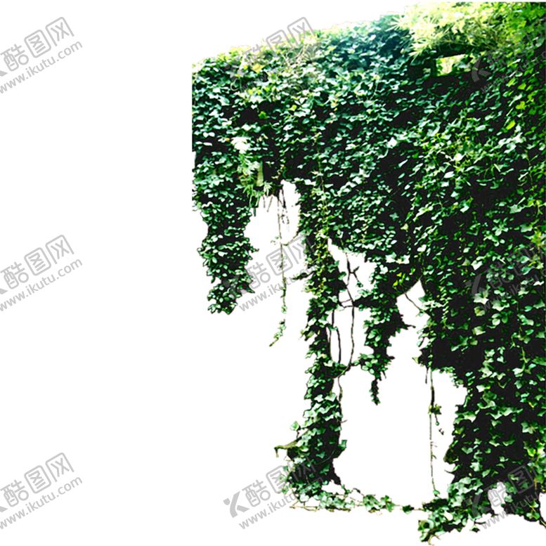编号：22267706302232211946【酷图网】源文件下载-绿色相框