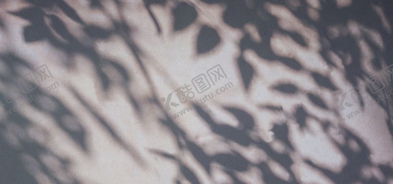 编号：85772310190850048406【酷图网】源文件下载-植物光影免抠素材