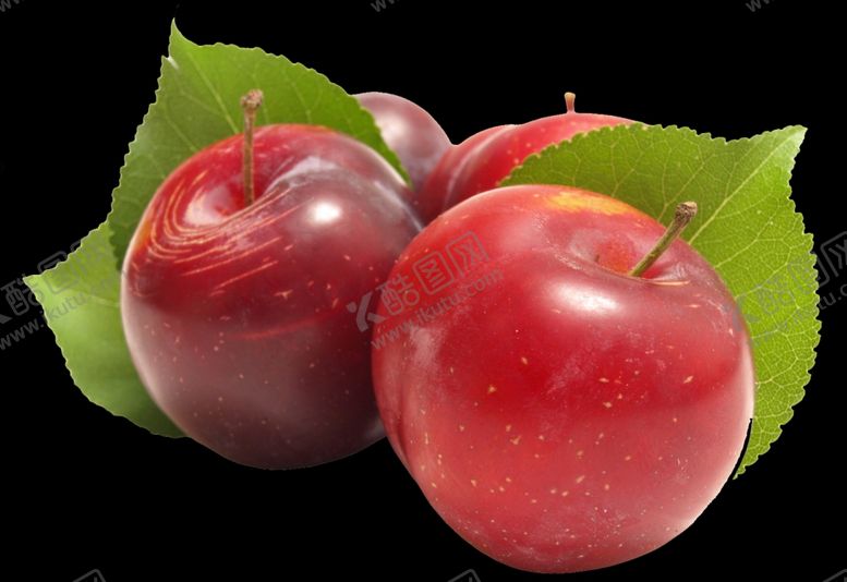 编号：28354410081121169119【酷图网】源文件下载-李子