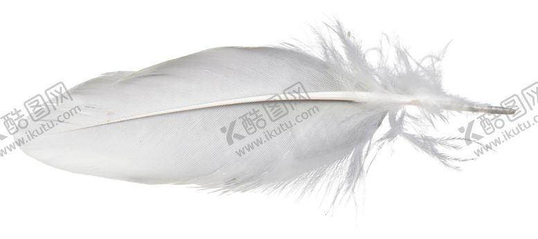 编号：43742210210723415732【酷图网】源文件下载-白色羽毛漂浮素材