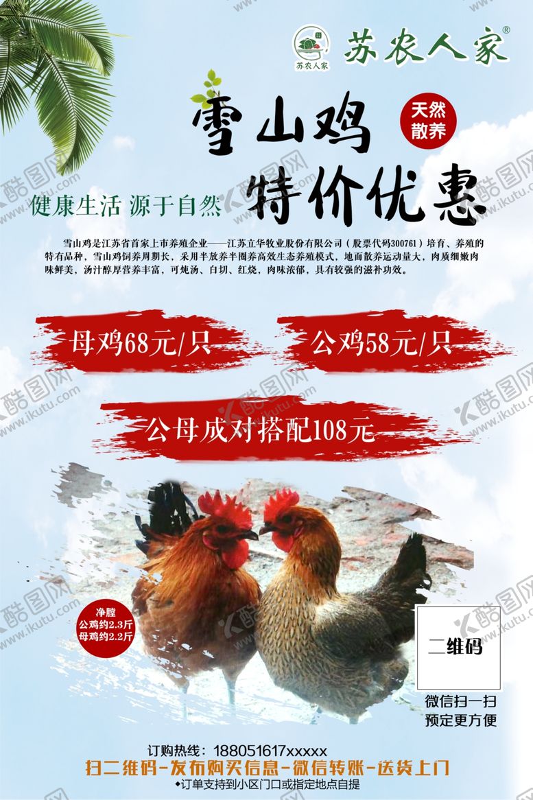 编号：79030810021511541786【酷图网】源文件下载-雪山鸡老母鸡团购外卖送货上门
