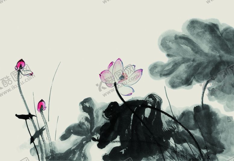 编号：64617109240320081711【酷图网】源文件下载-水墨荷花