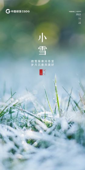 编号：02438609230641243746【酷图网】源文件下载-小雪节气海报