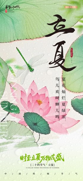 立夏时节荷韵图