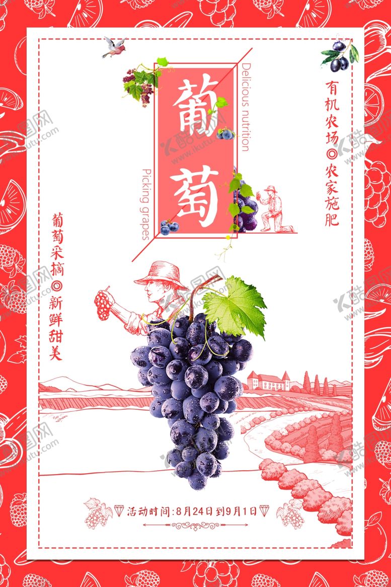 编号：43747204162004277896【酷图网】源文件下载-葡萄插画包装设计图