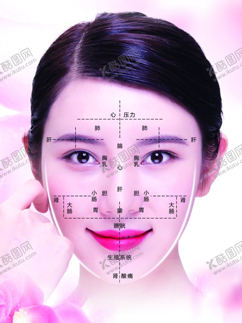 编号：88458806281444086188【酷图网】源文件下载-面部分解
