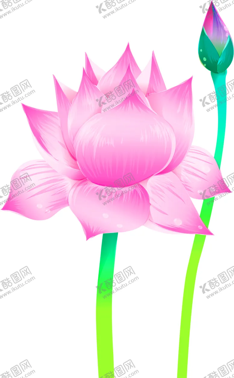 编号：81795506251532371927【酷图网】源文件下载-鲜花装饰