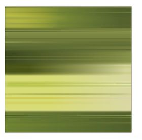 木纹