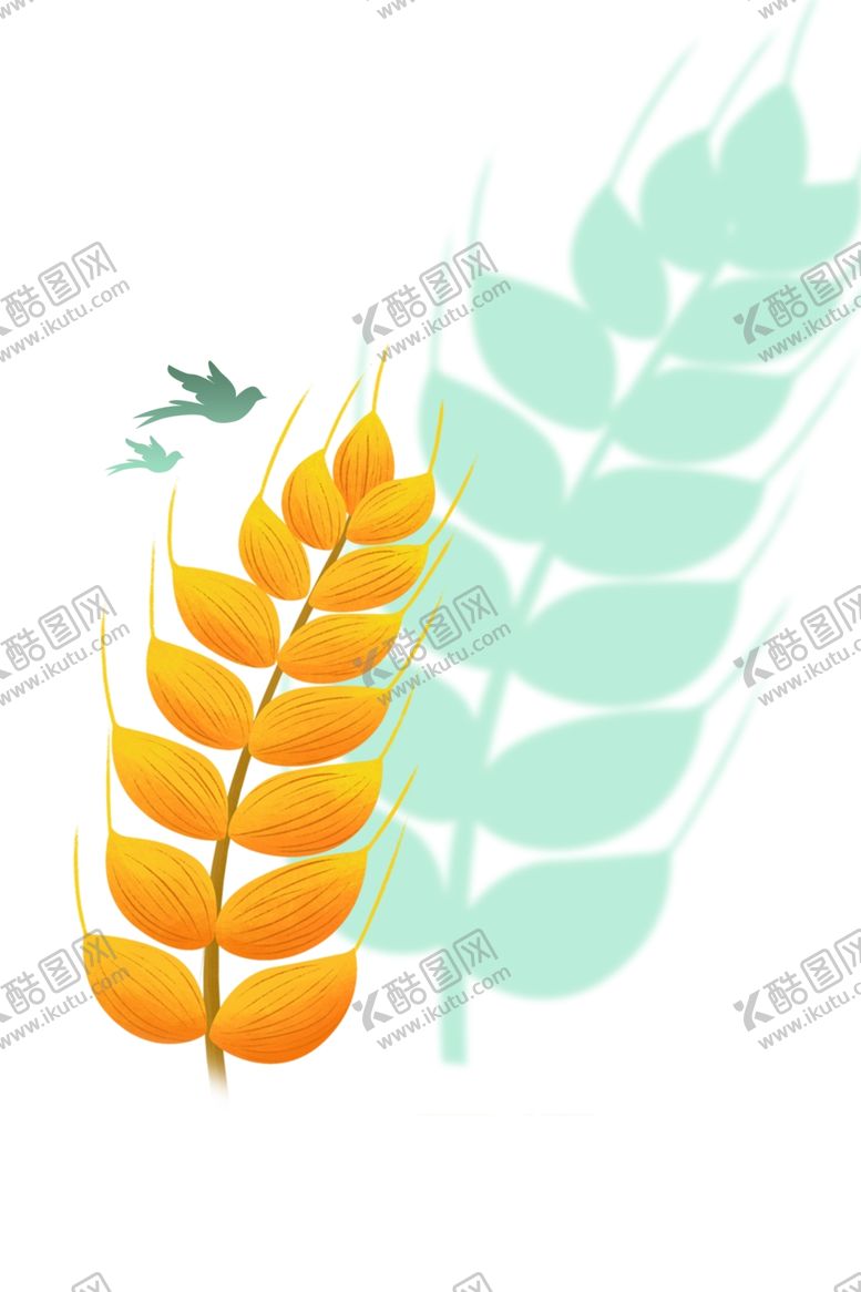 编号：11048202131529477354【酷图网】源文件下载-麦穗小麦图片