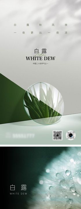 白露节气海报珠二十四