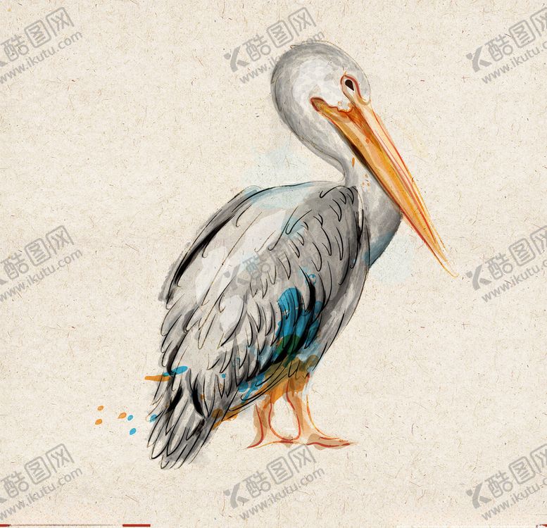 编号：34619110230545544862【酷图网】源文件下载-矢量动物矢量植物插画手绘