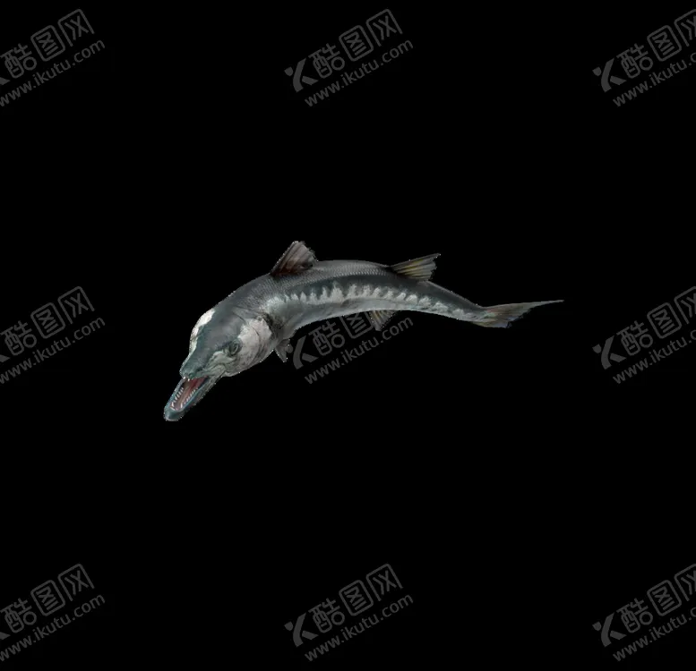 编号：79757607021550512024【酷图网】源文件下载-海洋生物