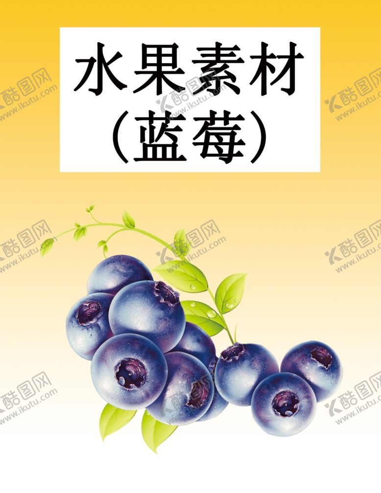 编号：49342709271441115419【酷图网】源文件下载-蓝莓