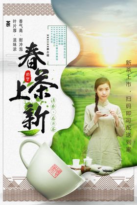 茶海报普洱楼春上市