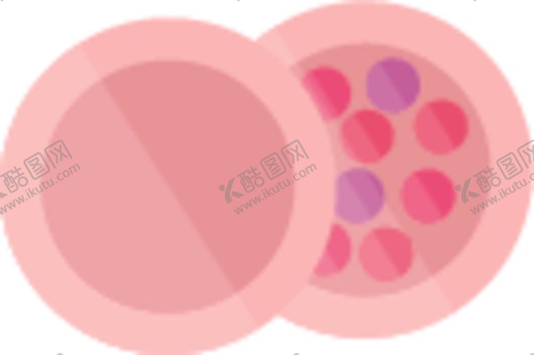 编号：39572209232255203928【酷图网】源文件下载-化妆棉