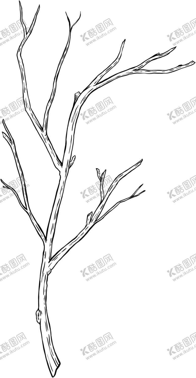 编号：20645909240554007190【酷图网】源文件下载-树枝素描