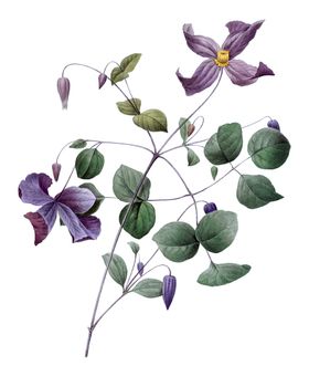 插画新中式装饰北欧装饰抽象现代简约挂