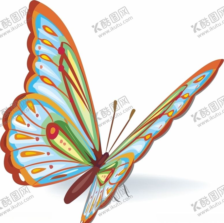 编号：39453104171201343336【酷图网】源文件下载-蝴蝶矢量