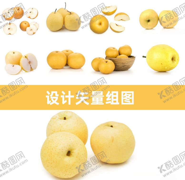 编号：80322509141258566572【酷图网】源文件下载-黄金梨矢量
